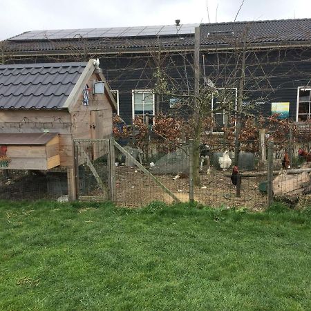 Hoeve Cornelia Berkel en Rodenrijs Zewnętrze zdjęcie